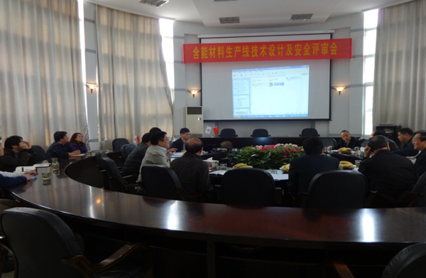 技術(shù)設(shè)計(jì)安全評(píng)審會(huì)